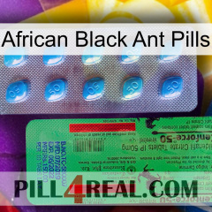 African Black Ant Pills new03